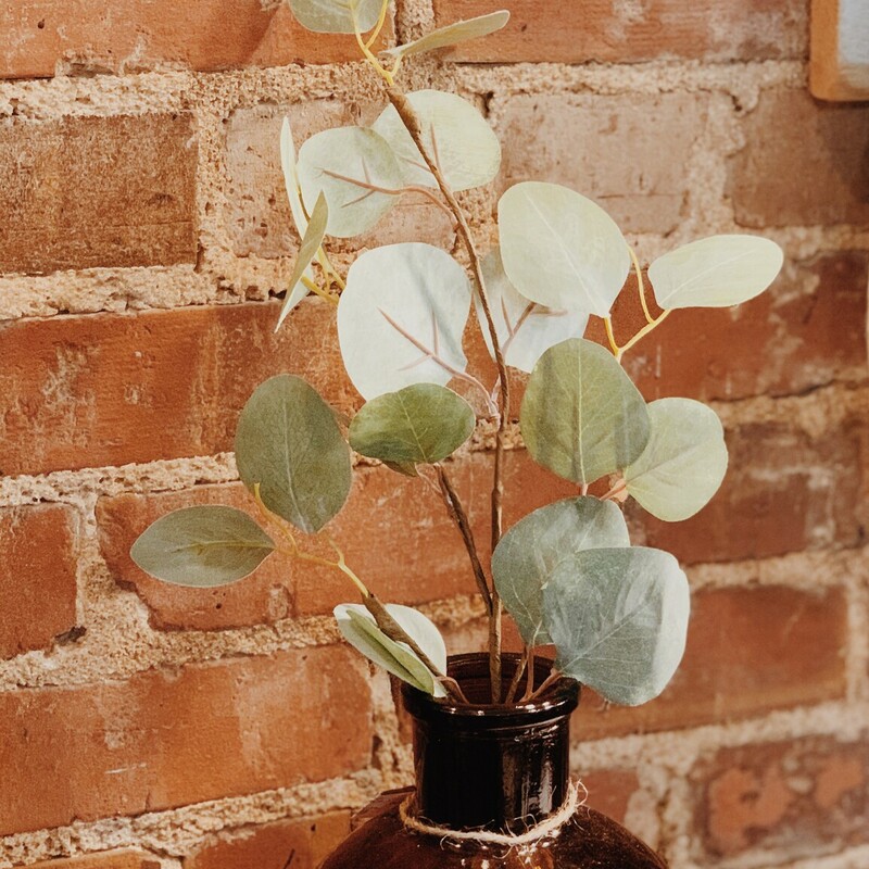 These eucalyptus pic stems are 19 inches long. These are the perfect floral for anyone who loves a natural looking greenery! Perfect on its own, or you can add it to an arrangement!