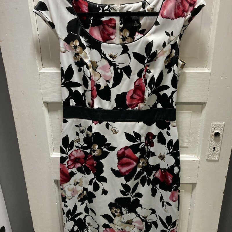 White House Black Market, Floral, white with pink and black flowers! Size: 10