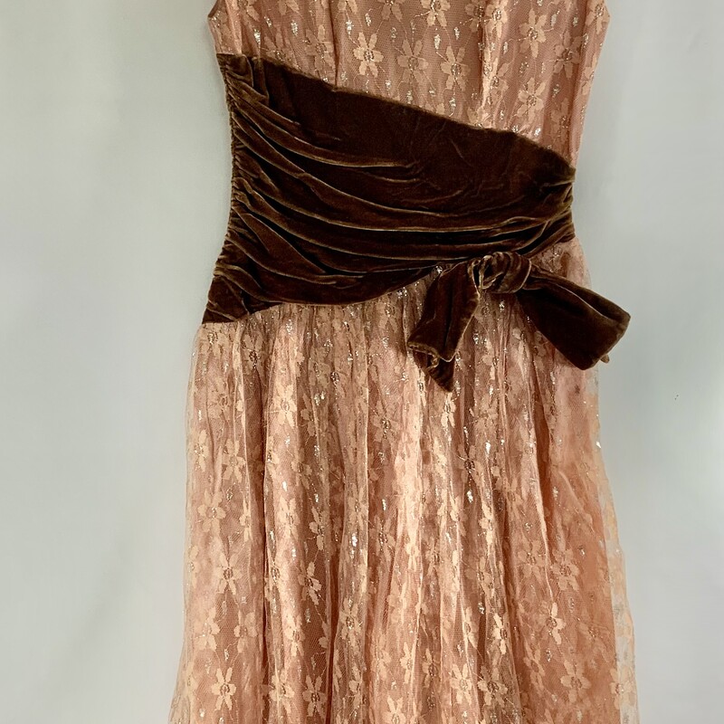 Brown velvet shirred waist with bow.
Peach color with silver accents on netting. Hem falls just below the knee.
Back zipper with hook and eye closure.
Approximately 28 inch waist.  Fully lined.