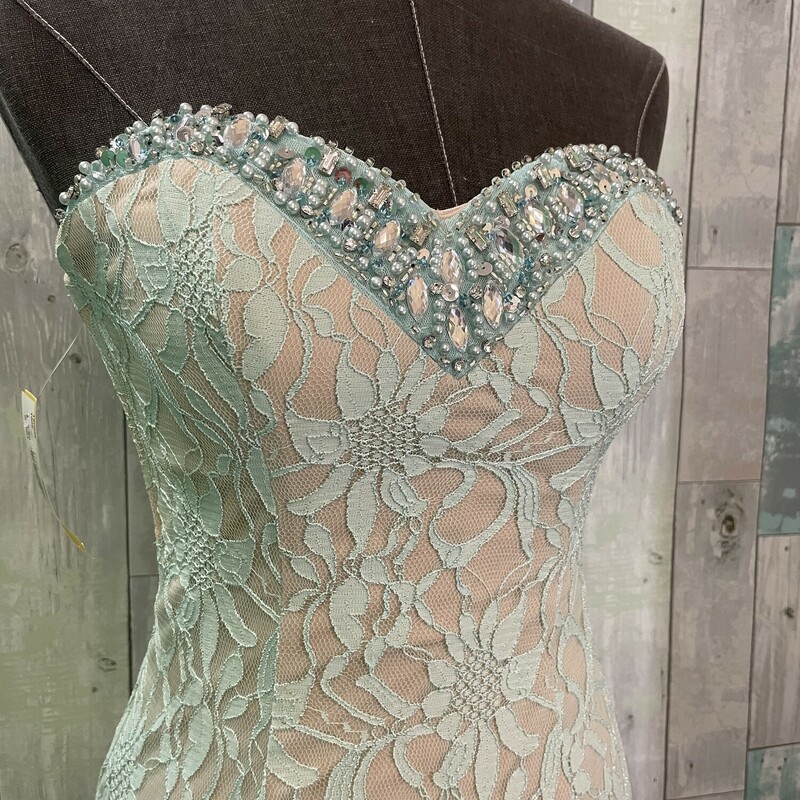 Sequin Heart Lace Prom<br />
MInt & flesh colored<br />
Size: 5