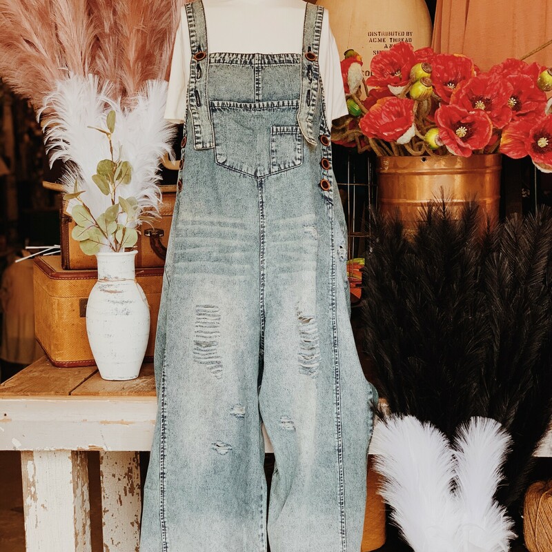 These fabulous denim overalls are absolutely perfect for all seasons! Pair them with a t-shirt in the spring, a tank top in the summer, a long sleeve in the falll, and a sweater in the winter! The possibilities are endless!