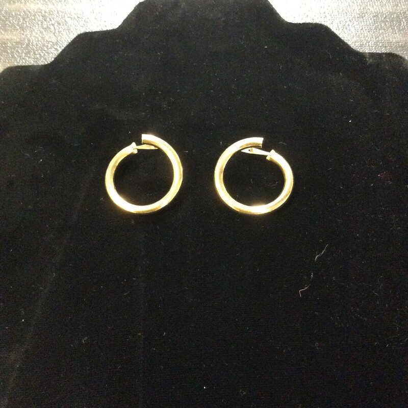 14K Gold Pierce Earrings