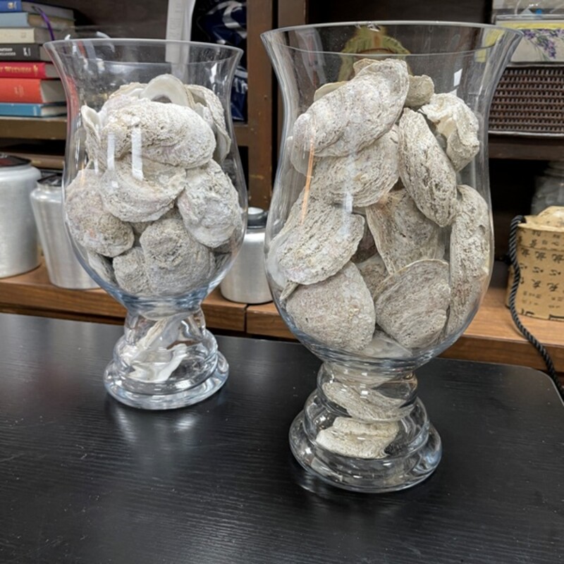 Crystal Vase W/Oyster Shells, Size: 14 Tall