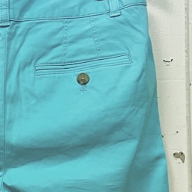 Mint Chino Shorts
Mint
Size: 6