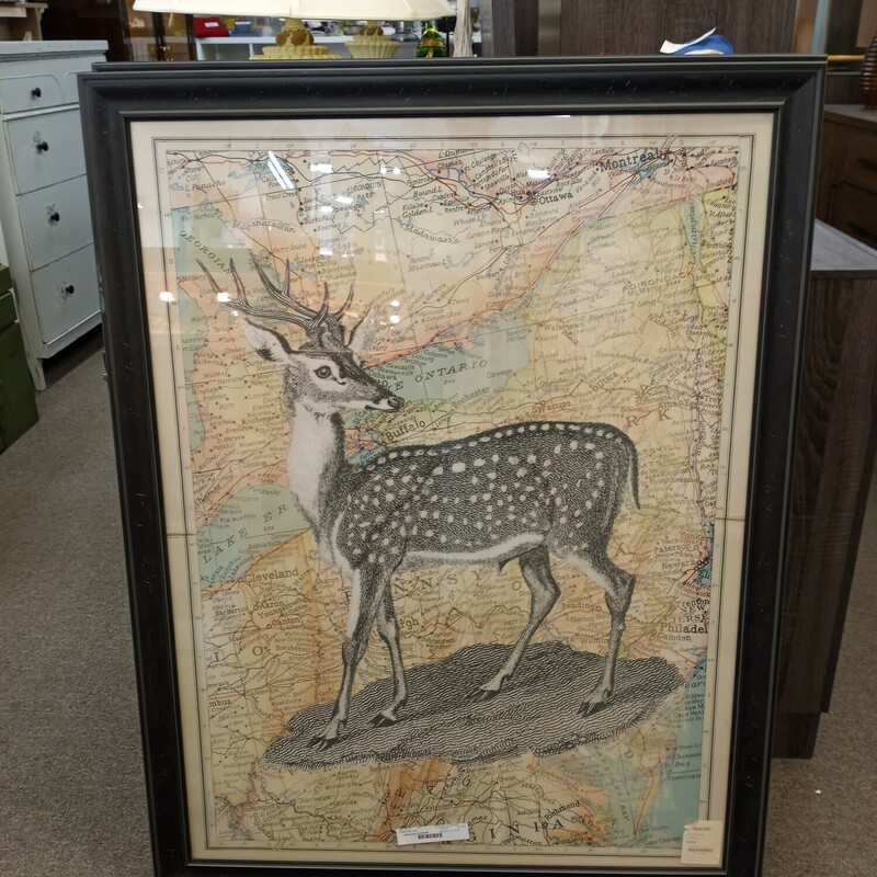 Framed Deer Map, LARGE