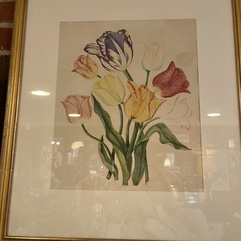 Tulip Watercolor, Multi, Size: 19x21inch