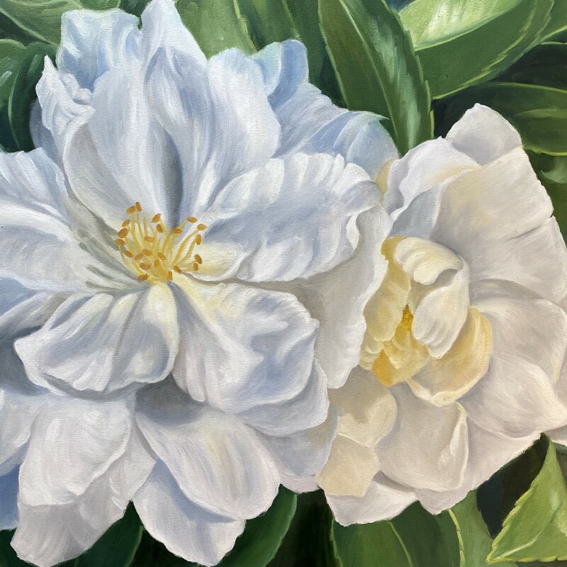 Spring Bloom
Kay Hofler
Oil
24 x 30
Description: Delicate camellias in bloom, one bright and beautiful, the other beginning to fade. The background of shiny green leaves contrast the brightness of the flowers.