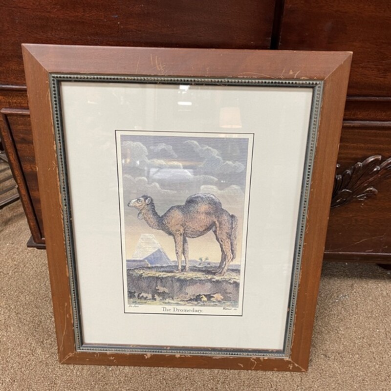Camel Print, Size: 19x23