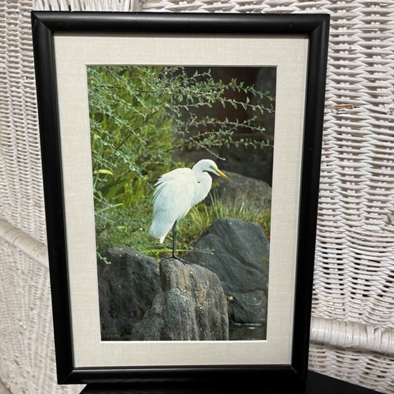 Framed Egret Photo, Size: 8x11