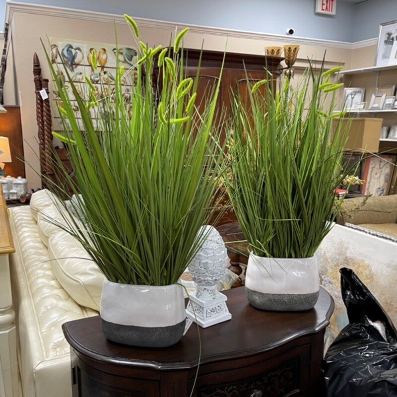 Grassy Plant In Planter, Size: 30 Tall