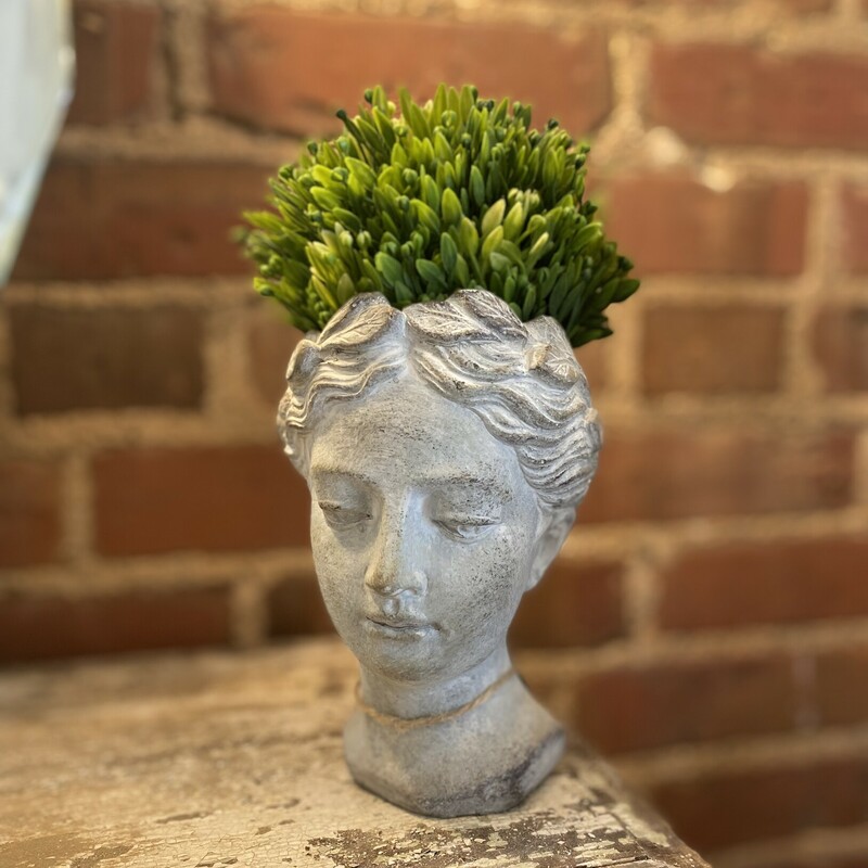 This sweet half sphere with neutral green leaves is a great addition to decorative bowls, baskets, vases or trays. This sphere is a perfect fit for or small goddess head. Add color and texture to any space<br />
Measures 5.5 in high by 5.5 in in diameter