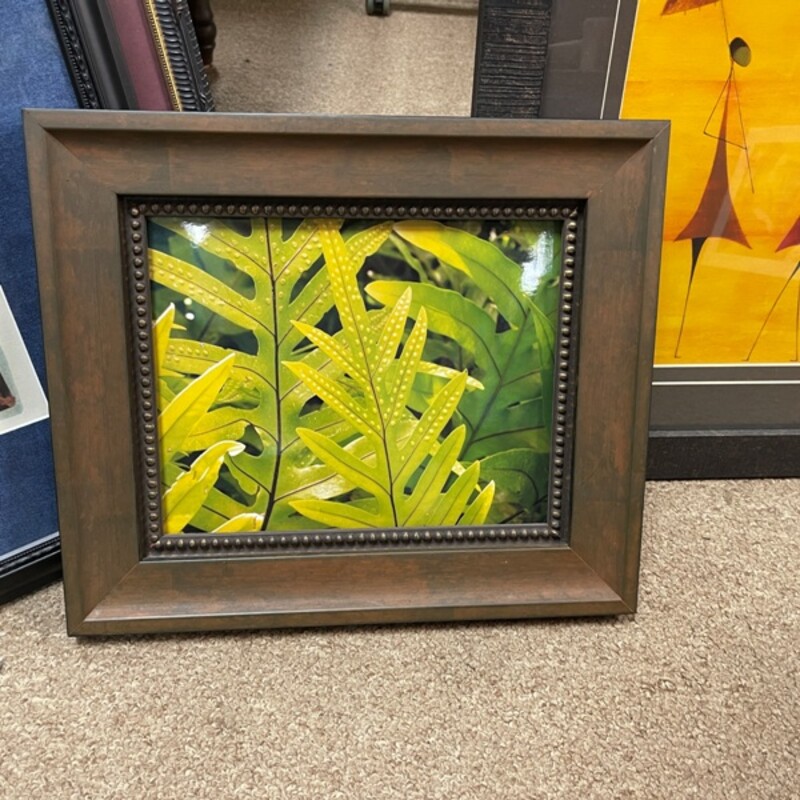Framed Leaves Photograph, Size: 14x12