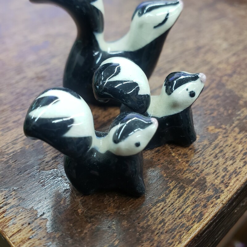 Skunk Family