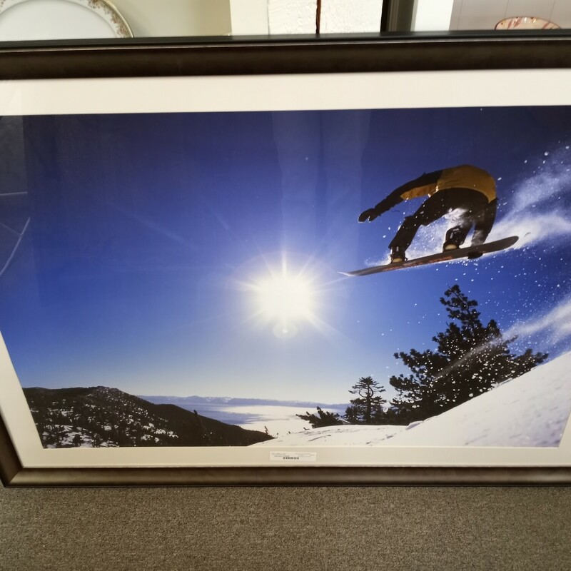 Lrg Snowboard Print