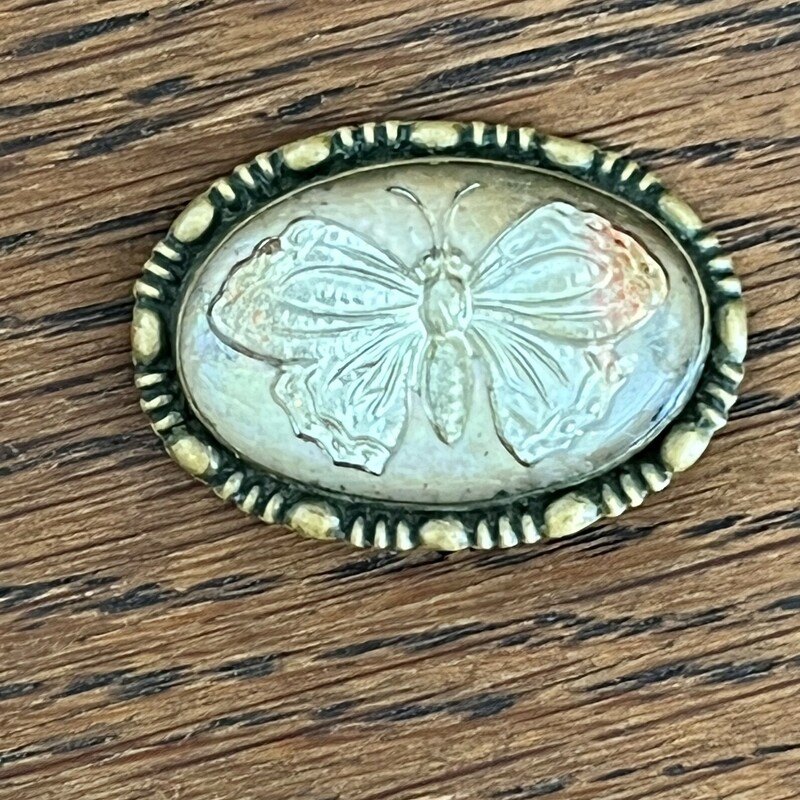 Victorian Reverse Painted Intaglio glass butterfly set in Mother of Pearl with a brass frame & C-clasp closure.   1-1/2 X 1-1/8