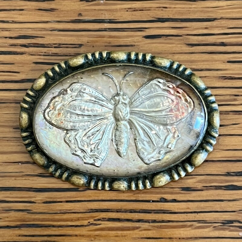 Victorian Reverse Painted Intaglio glass butterfly set in Mother of Pearl with a brass frame & C-clasp closure.   1-1/2 X 1-1/8