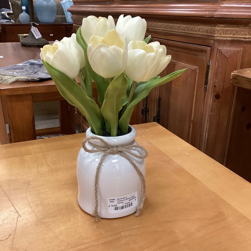 Tulips In White Vase