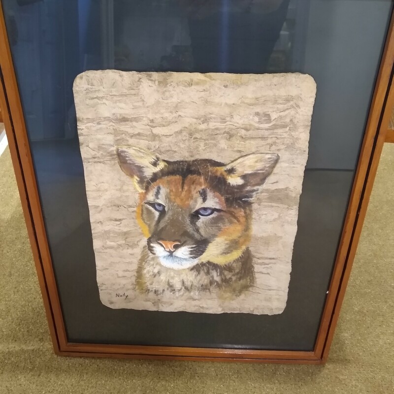Mountain Lion Framed Art