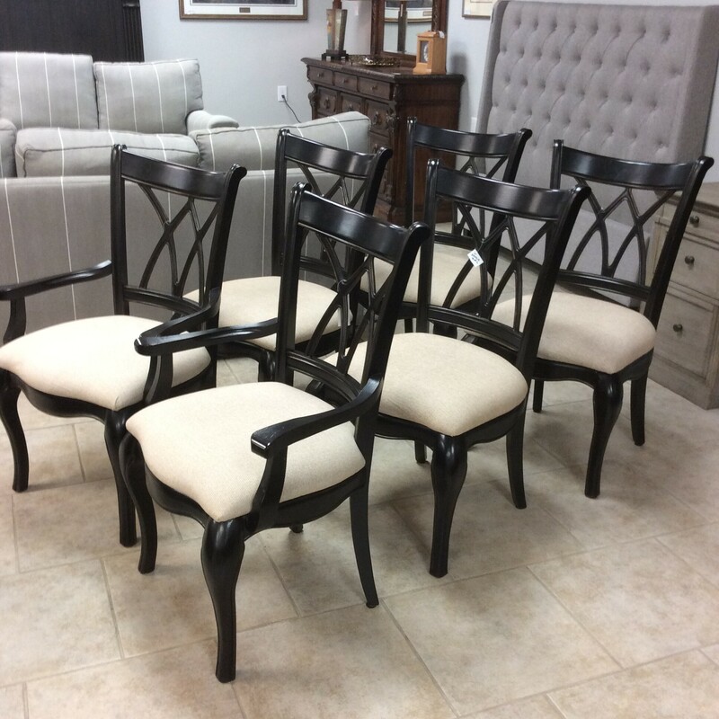 6 Dinning Chairs