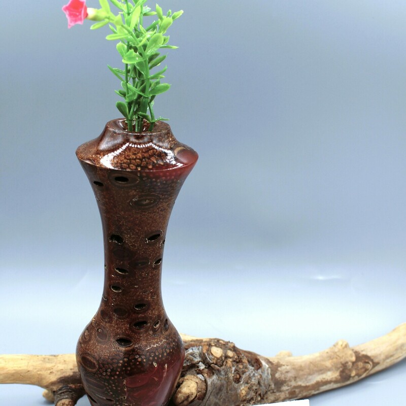 Vase Banksia Pod Twig
