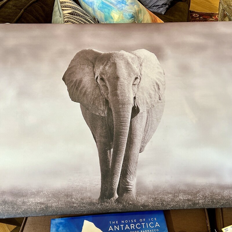 Stretched  Canvas, Elephant,
Size: 40x22