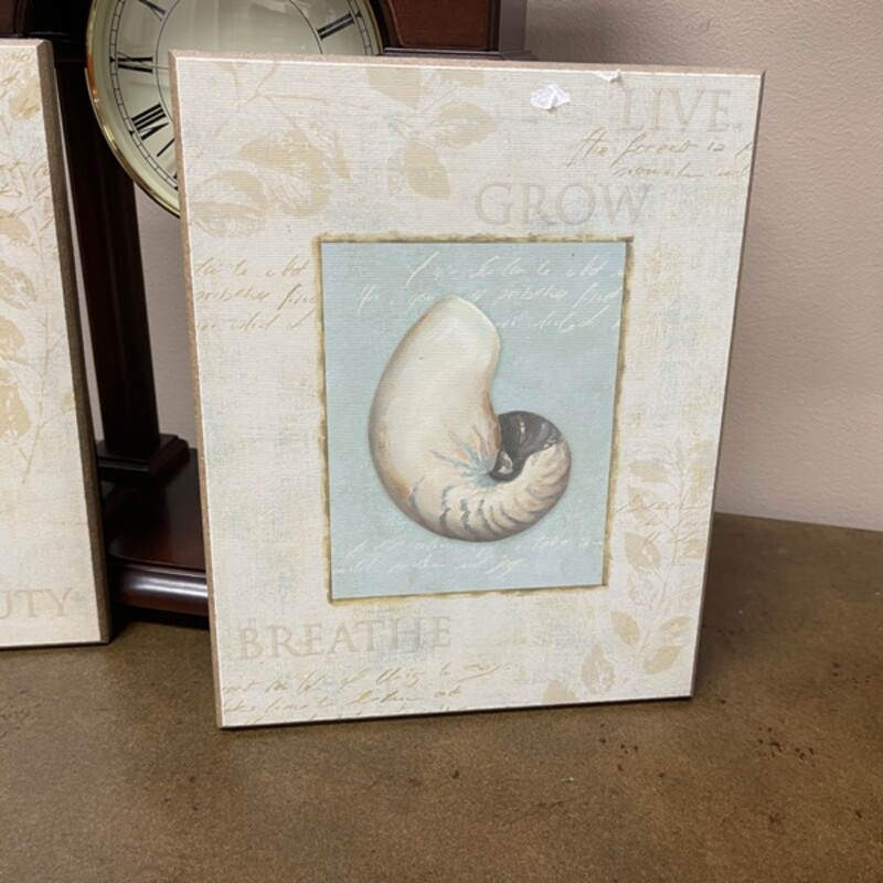 Shell Art Wood Plaque, Size: 8x10
