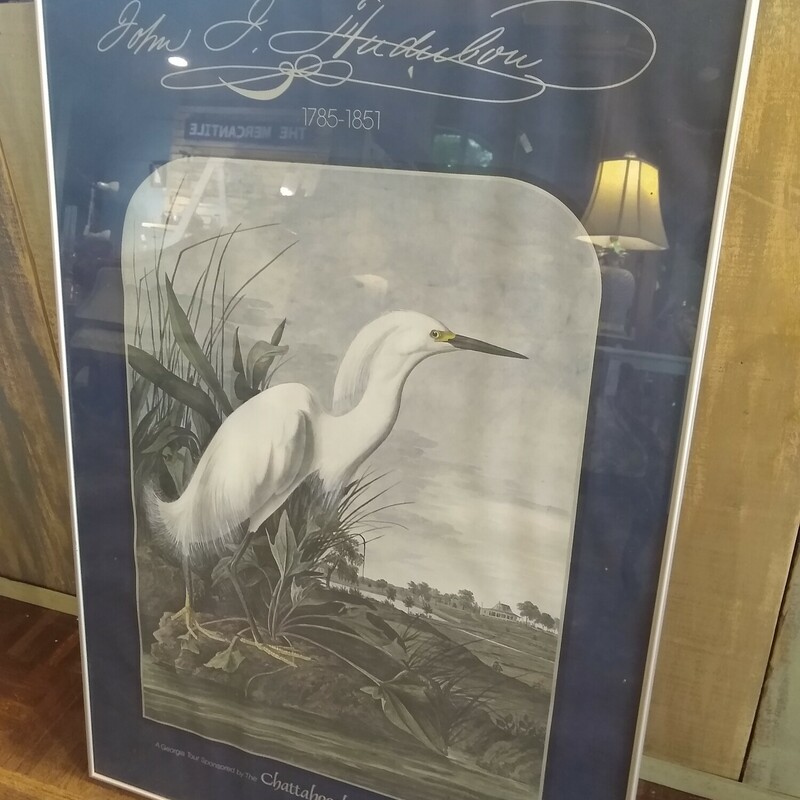 Egret Framed Poster

Size: 24 in wide X 36 in high