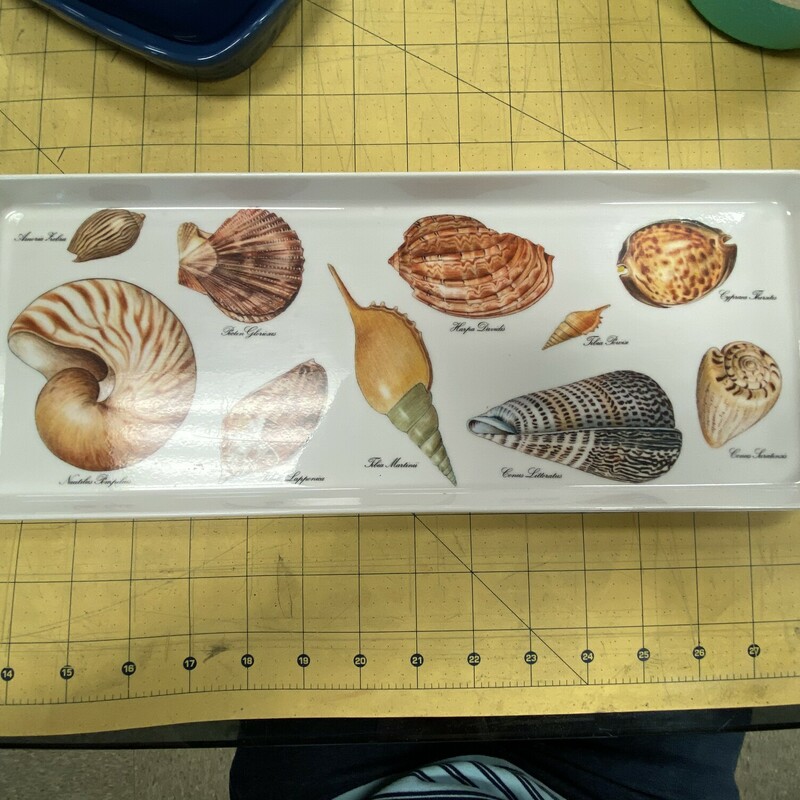 Acrylic Seashell Tray, White, Size: 15x6 Inch