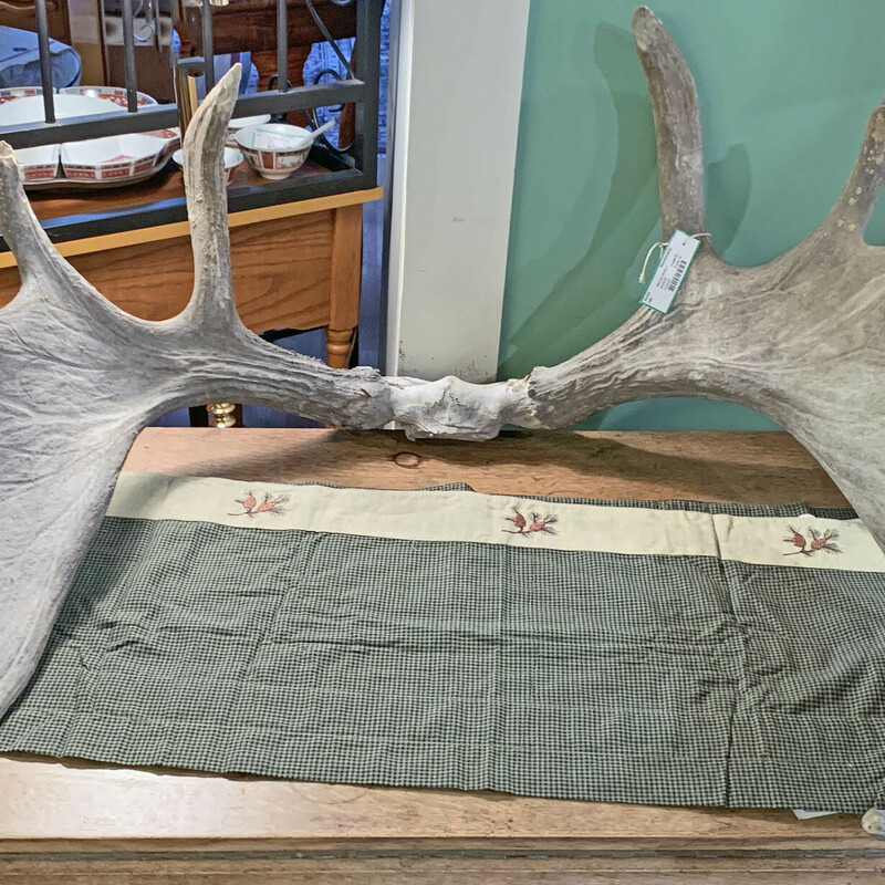 Authentic Moose Antlers - $538.10