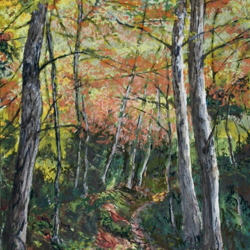 Path Through The Woods