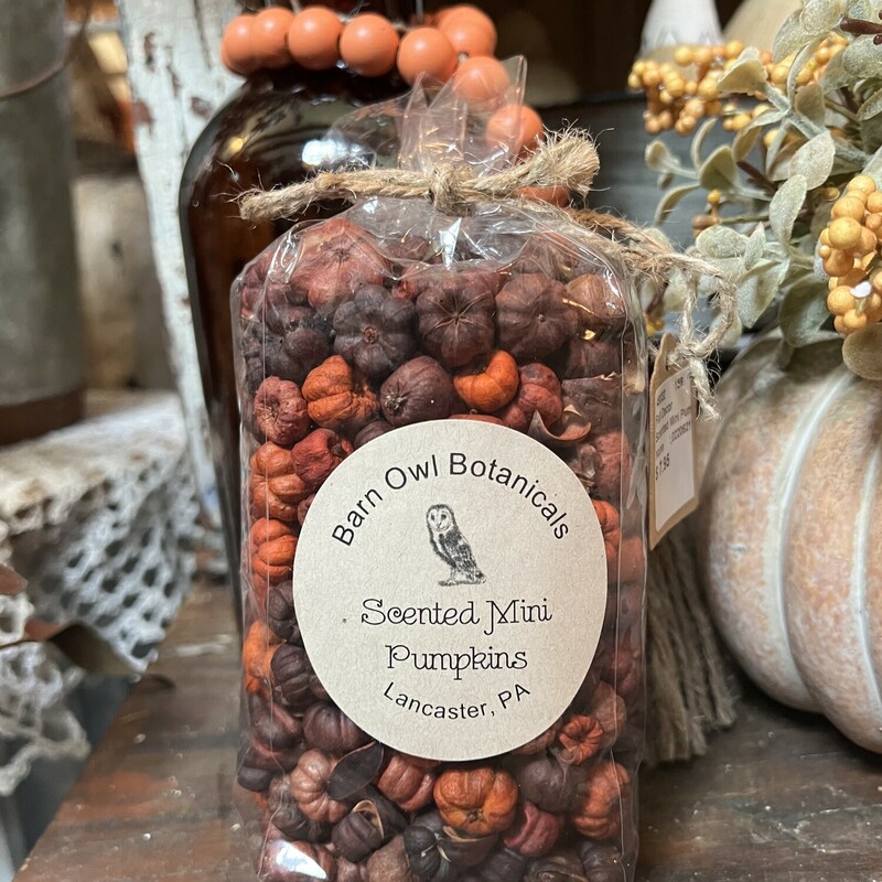 Scented Mini Pumpkins