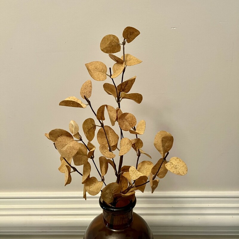 The Mustard Penny Leaf Pick  has fabric leaves and a beautiful deep mustard hue ideal for adding a touch of fall to any space. Pair this pick with cotton, hops or millet for a harvest centerpiece.  Measures 18 inches high and 4 inches wide