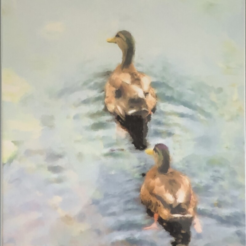 Framed Ducks On A Pond