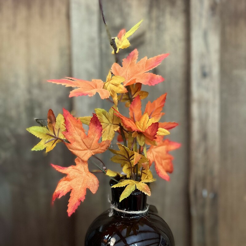 This brightly colored stem is the perfect pop of color to brighten any fall decor! The leaves are a beautiful mix of oranges! Each stem measures 12 inches in length.