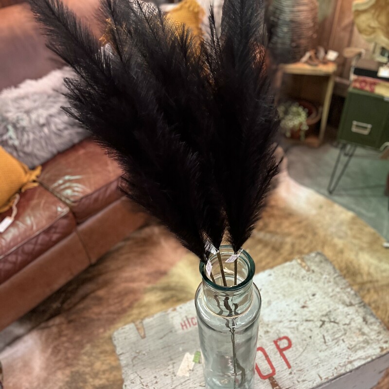 These gorgeous black colored pampas stems are perfect for weddings, parties, or even photography! The dark tone is such an elegant pampas color that makes these florals a beautiful touch to any decor! Each stem measures 45.25 inches long.