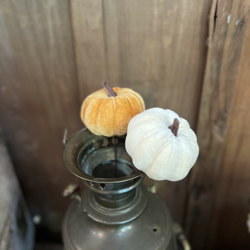 These adorable velvet pumpkin picks are available in orange or cream! They measure 8 inches in length, and they are they perfect size for floral arrangements! Or you can use one of these cuties in a small vase all on its own!