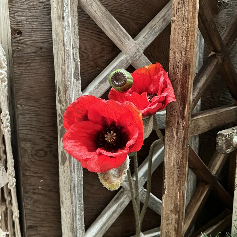 This Red Poppy Stem is gorgeous with its red flowers and slightly fuzzy green stem. This floral is perfect any time of year and will make a bold statement alone or in an arrangement. Stem measures 29 inches in length