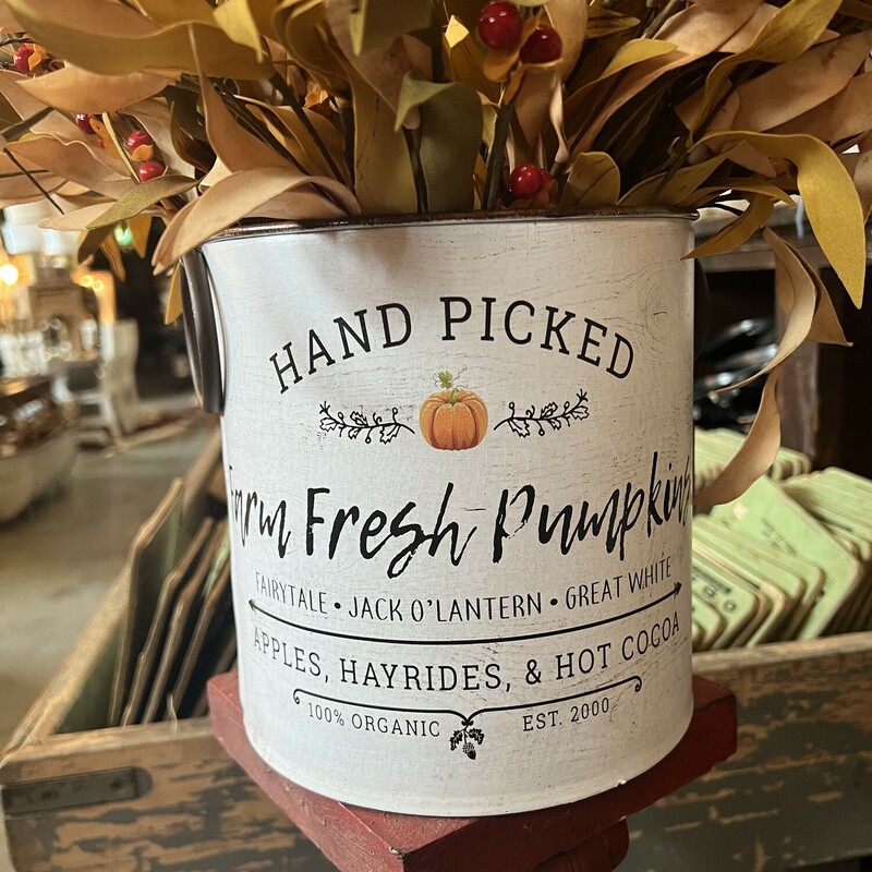 This cute pumpkin bucket has so many uses in your fall decor. Bucket has two round handles on either side and is made of metal. Add some of our fall florals to this for a perfect display, or fill with candy for your trick or treaters
Bucket measures 7 inches tall and 7 inches in diameter