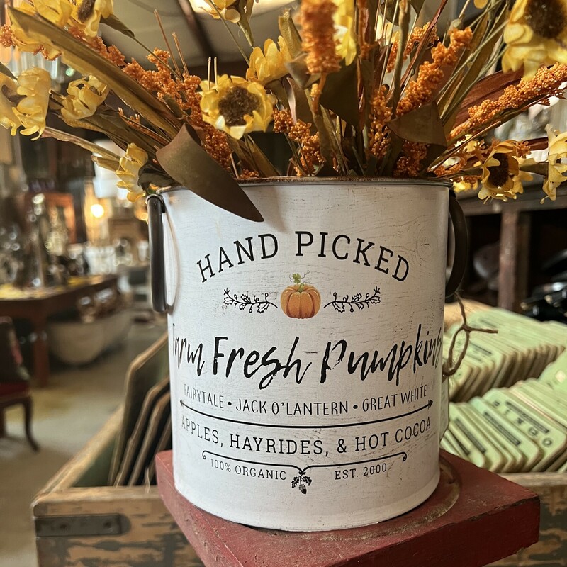 his cute pumpkin bucket has so many uses in your fall decor. Bucket has two round handles on either side and is made of metal. Add some of our fall florals to this for a perfect display, or fill with candy for your trick or treaters
Bucket measures 6 inches tall and 6 inches in diameter