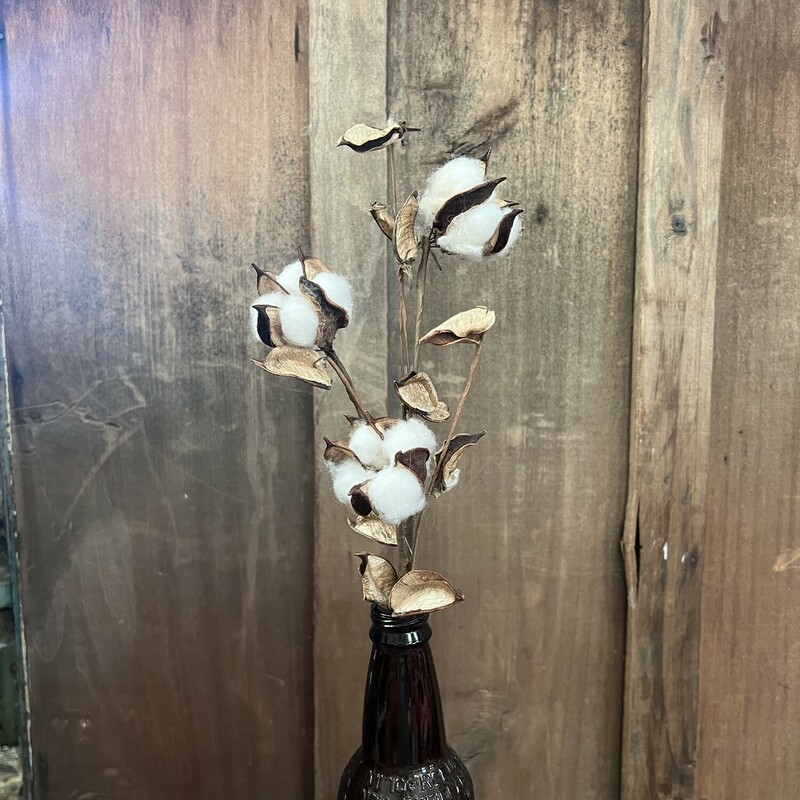 Cotton Pick