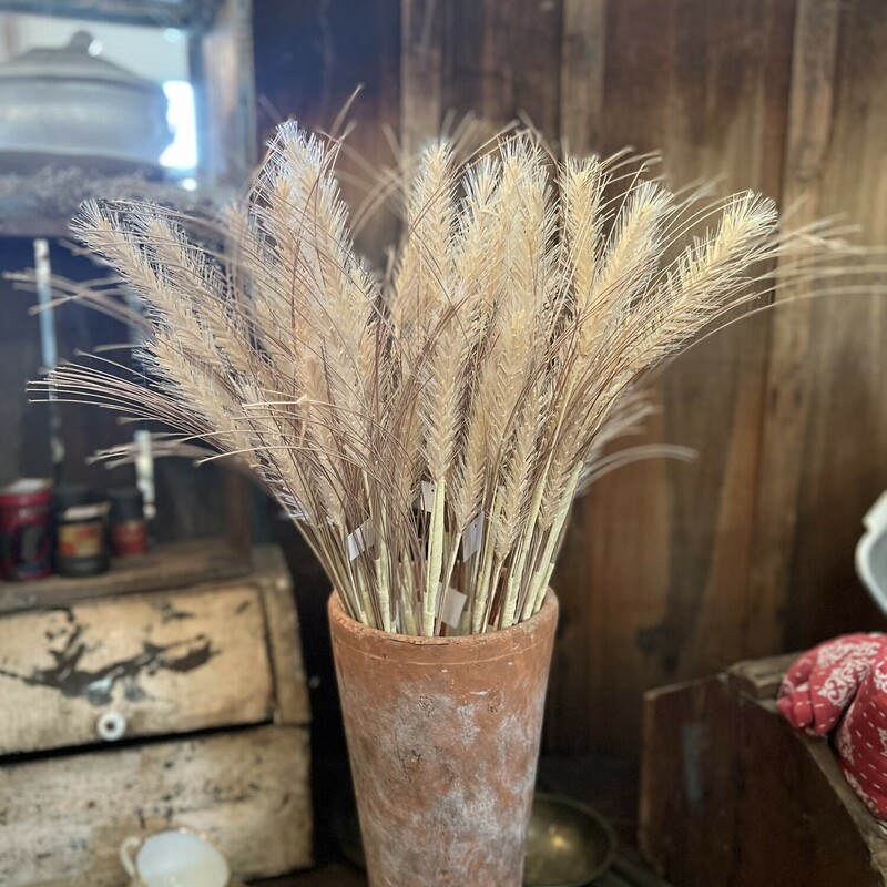Cream Wheat Spray is a long and slender spray that has faux wheat stalks on cream colored  paper wrapped stem. Spray can be bent and adjusted as desired.  This pretty;  neutral color spray looks great alone or grouped with other fall florals
Stem measures 25 inches tall