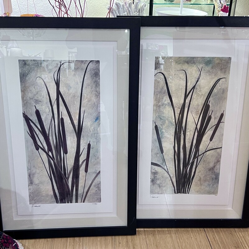 SIgned Print Reeds with COA On Back,
Size: 24x36