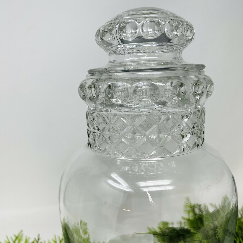 Antique glass candy jar.<br />
<br />
A true antique!<br />
<br />
Tall clear glass antique candy jar with a thumbprint designed edge.<br />
<br />
Has a diamond pattern collar.<br />
<br />
There is a chip on the lid.<br />
<br />
12in tall x 4in diameter