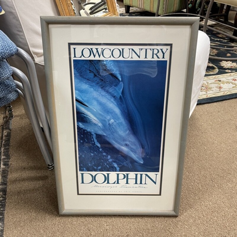 Low Country Dolphin Print, Size: 18x28