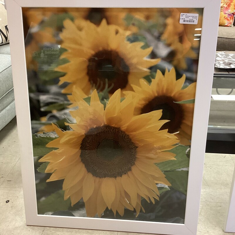 Sunflower White Frame, Yellow, Framed
35.in tal x 27.5 wide