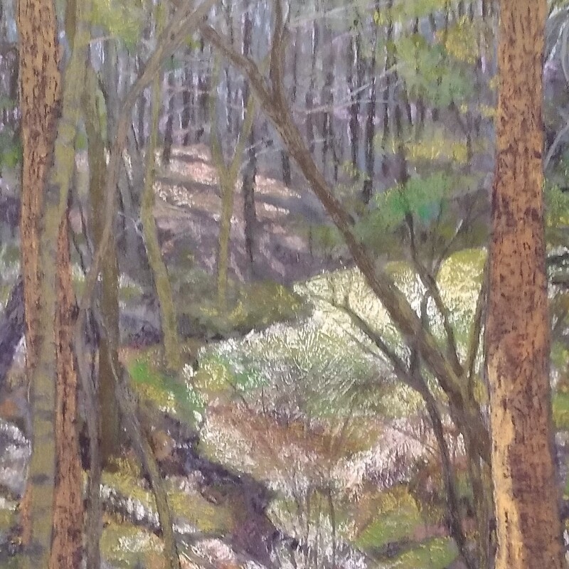 Light In THe Forest