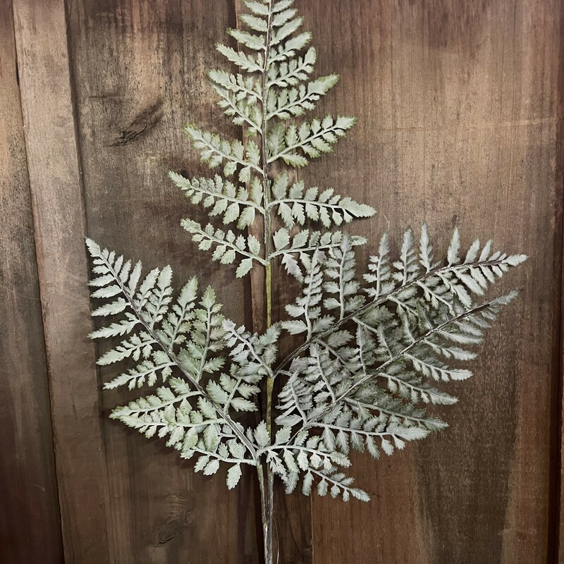 This Fern Spray is perfect for any season, wether its in an arrangement or a few grouped together in a vase.
This floral will work in any room with any decor. Spray measures 36 inches in length but can be bent or cut to fit any size vase