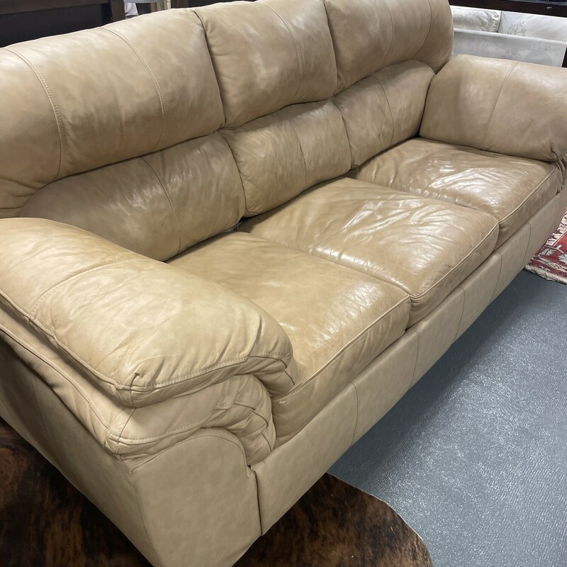 Leather Pull Out Sleeper