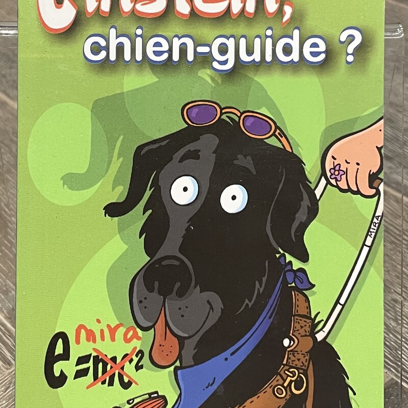 Einstein Chien Guide?