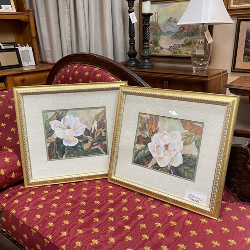Magnolia Prints, Pair, Size: 21x20
